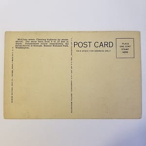 Vintage Unused Postcard (1940’s) – “Rainier National Park”