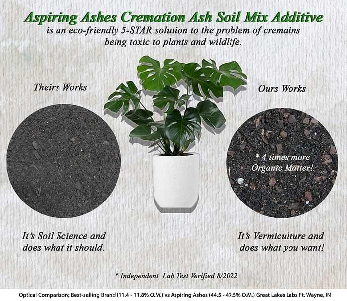 Where to Buy Soil Cremation Mixture | Cremation Ash Soil for Sale | Planting a Memorial Tree with Ashes | Plant Tree with Ashes| Tree with Ashes | Ashes into Tree | Planting Ashes | Planting Tree Cremated Ashes | Planting Cremated Ashes | Planting a Tree with Ashes | Cremation Ashes Tree Plant Tree